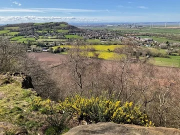 frodsham-woods-old-hall-walking-club-chester